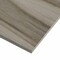 Msi Aspenwood Ash SAMPLE Glazed Porcelain Floor And Wall Tile ZOR-PT-0175-SAM - alternate 2